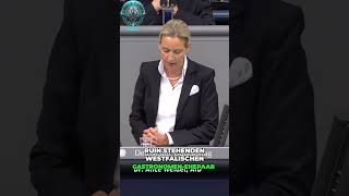 🚨 Alice Weidel Das verlorene Vertrauen – Bürger gegen einen hilflosen Staat 😱🤝🇩🇪 [upl. by Blockus188]