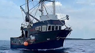 Fishing offshore of Newfoundland [upl. by Bury]