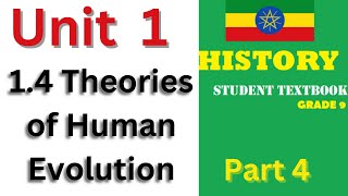 14 Theories of Human Evolution [upl. by Eibrik]