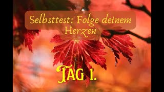 Tag 1  Selbsttest quotFolge deinem Herzenquot [upl. by Kallman]