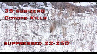 35 Sub Zero Coyote Kills Epic Winter Coyote Hunting [upl. by Dumm435]