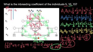 How to calculate Coefficient of Inbreeding [upl. by Bussy]