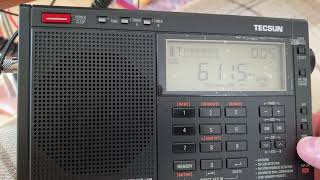 Tecsun Pl990x vs Pl680 listening to Radio New Zealand International [upl. by Clevey783]