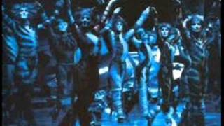 Cats mix Jellicle songs for jellicle cats [upl. by Patti480]