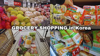 Korean Supermarket  Grocery Shopping in Korea  Grocery Food with Prices  Shopping in Korea [upl. by Adnohs]