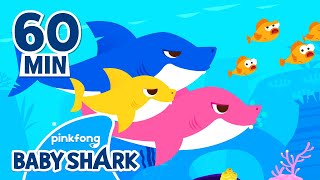 Baby Shark Doo Doo Doo 60 Min  Compilation  Baby Shark Remix  Baby Shark Official [upl. by Bunns151]