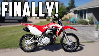 Finally Found One Buying a 2020 Honda CRF 110 Pit Bike CRF110F [upl. by Ylagam]