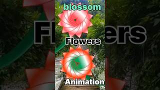 🔥PowerPoint best animation💯 flower animation powerpoint msoffice shorts trending [upl. by Alexa256]