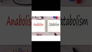 ANABOLISM AND CATABOLISM anabolismcatabolism  WHAT IS ANABOLISM AND CATABOLISM metabolism [upl. by Aihsenyt]