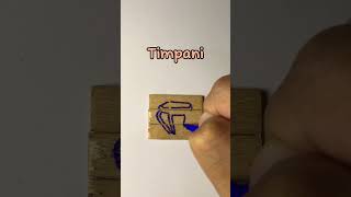 Timpani kryptontesla howtodraw drawingtutorials viralvideoshorts fyp instrument [upl. by Rehpotsrhc]