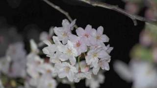 419 春の宵 quotVesper Springquot ピアノ オリジナル 曲 piano original music [upl. by Rakia]