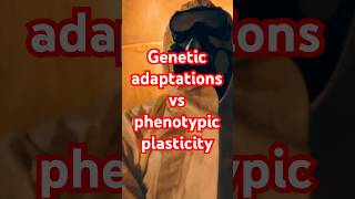 Genetic adaptations vs phenotypic plasticity [upl. by Nashner246]