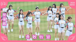 20240803 台鋼雄鷹啦啦隊Wing Stars 開場舞 勇敢蛻變 [upl. by Allemahs913]