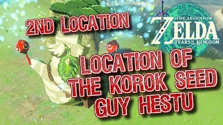 The Legend of Zelda Tears of the Kingdom Hestu Second Location korok seeds [upl. by Melborn447]