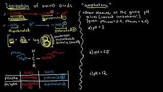 BIOCHEM 13  Amino Acid Ionization 1 [upl. by Ydnas15]