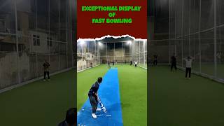 Fast Bowling Madness cricket bowling sports [upl. by Sybila]