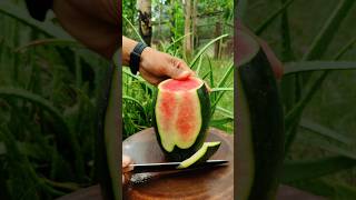 Watermelon cutting skills so fresh l Very fresh watermelon fruit 2024 satisfying shorts reels [upl. by Boothman]