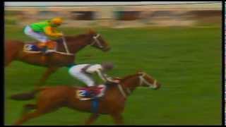 1986 Cox Plate Bonecrusher vs Our Waverley Star [upl. by Niahs]