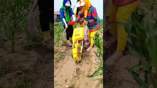 Modern agriculture techniques  practical fertilizing tool for rural farmer farming shorts [upl. by Esaele245]