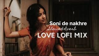 Soni de nakhre  partner movie  lofisong  slow  reverb slowedandreverb slowed trending [upl. by Sral]