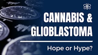 Cannabis amp Glioblastoma Hope or Hype [upl. by Basia601]