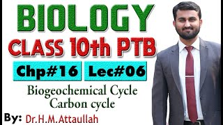 Biogeochemical Cycle  Carbon cycle   Chapter  16  Biology Class 10th  Lec 6 [upl. by Zzahc]