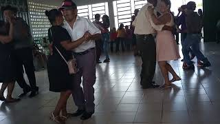 Chico Cearense animando o forró dos idosos em Valença do Piauí dia 17112024 p6 [upl. by Alsi]