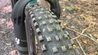 Onza Porcupine 29x2 6 Tire Review [upl. by Debra]