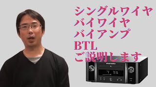 【初心者、中級者の方必見！】シングルワイヤ、バイワイヤ、バイアンプ、BTLの4つで比較試聴！音質を検証してみたぞ！ [upl. by Luke]