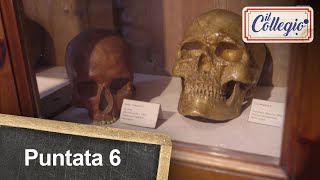 Che noia la paleoantropologia  Sesta puntata  Il Collegio 5 [upl. by Schacker587]