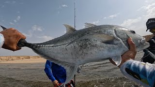 أجمددد يوم صيد من الكسارة، ضربنا ٥ جروم و دوجي🤯Best fishing day of my life from shore GTs and a dog [upl. by Chaddie50]