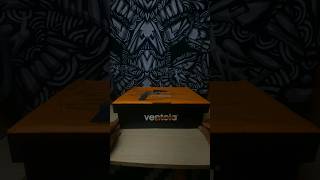 box ventela x Nevertoolavish ventela shorts sepatu [upl. by Cerelly]