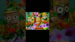 sei sorisha phula ra pathe ⭕⭕🙏statusvideo odiabhajan jagannathbhajan shortvideo [upl. by Ettenaej]