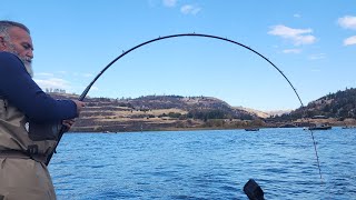 quotThe Bottom is swimmingquot Biggest Fish I have ever battled Talon Rod bent 360 Exciting footage [upl. by Engamrahc]