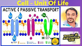 Transport Across Cell Membrane  Active amp Passive NCERT CBSE Class 11 NEET [upl. by Veda191]