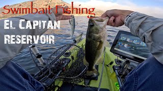 Soft Swimbait Fishing for Largemouth Bass  El Capitan Reservoir  September 2024 [upl. by Sperry]