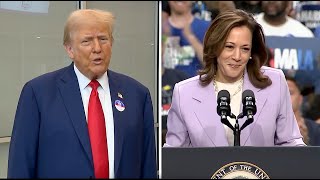 Kamala Harris Gains on Donald Trump in Polls Ahead of Democratic Convention [upl. by Mirielle]