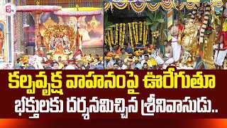 Tirumala Srivari Navaratri Brahmotsavam 2024  Simha Vahanam  Kalpa Viruksha Vahanam [upl. by Notsirb677]