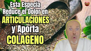 😱 ESTA ESPECIA REDUCE EL DOLOR EN LAS ARTICULACIONES Y APORTA COLAGENO 😱 [upl. by Jariv979]