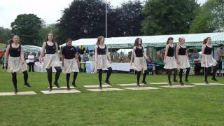 Folk Friendzy at Belper Goes Green 13 [upl. by Eelyac]