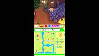 animal crossing wild world [upl. by Sewell483]