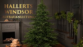 HALLERTS® Spritzguss Weihnachtsbaum Fichte Windsor Aufbauanleitung [upl. by Eirffej501]