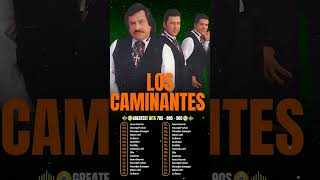 Todo Me Gusta de Ti  Los Caminantes  Românticas Álbum Completo Grande Sucessos [upl. by Drahnreb]