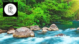 Relaxing Nature Sounds  Water Sound 24 Hours Gentle River amp Stream [upl. by Kcyred]