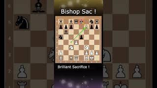 Knights Checkmate by Queen Sac in Evans Gambit [upl. by Sardella]