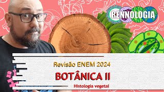 REVISÃO ENEM 2024  Botânica II [upl. by Annabell878]