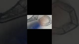 Sound hashira sketching Article lll ANIME lll LINE lll please subscribe lll 100 like lll 100 subscri [upl. by Etnoval]