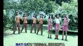 Tek Kotek Kotek Kotek  Lagu AnakAnak Indonesiaflv [upl. by Joshia]