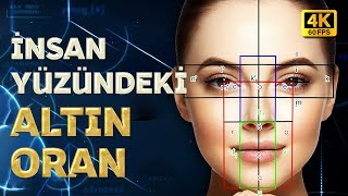 İnsan Yüzündeki Altın Oran I 4K [upl. by Ahsieni206]