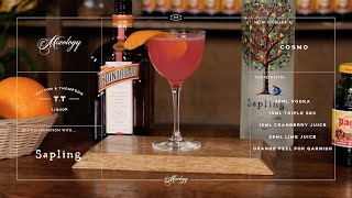 How To Make a Cosmopolitan  Classic Cocktail Recipes  Mixology Guide  Vegan Friendly [upl. by Yma285]